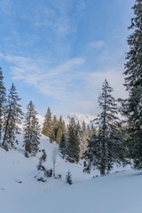 Obraz na płótnie Canvas Verschneite Winterlandschaft mit Blick auf den Säntis und und den Wildhauser Schafberg im Toggenburg