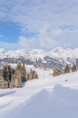 Verschneite Winterlandschaft in den Schweizer Alpen