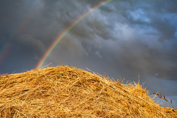 Rainbow on a blue sky on a beautiful summer day