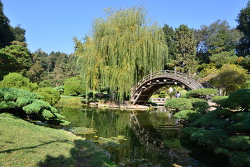 Fototapeta na wymiar Japanese garden in California