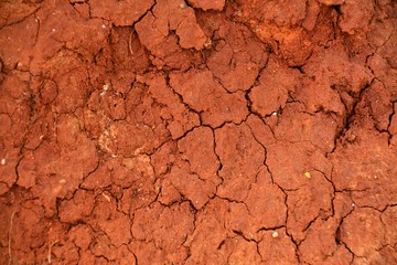 arid and cracked reddish soil
