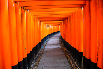The iconic shrine in Kyoto, made famous for its thousands of orange and black torii gates which climb to the summit of Mt Inari