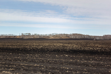 plowed field