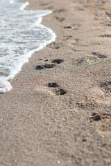 footprints in the sand