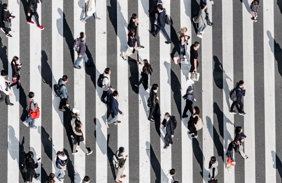 Zebra crossing   Ginza street crowd walk on crosswalk Tokyo Japan