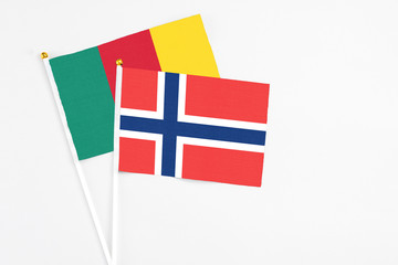 Norway and Cameroon stick flags on white background. High quality fabric, miniature national flag. Peaceful global concept.White floor for copy space.