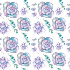 Trending delicate watercolor twigs of blue-green and sulfur echeveria succulent in sketch style. Drawn by hand on a whitebackground.