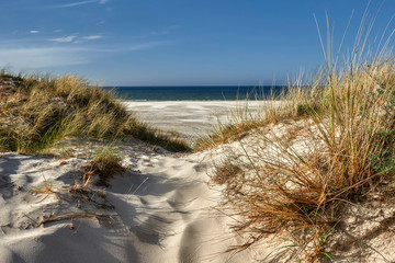 Wandering sands / dunes - Poland, Słowinski National Park, Łeba town