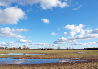 Flooded field