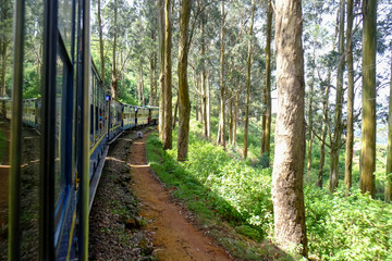 世界遺産「インドの山岳鉄道群」インド最古の山岳鉄道のひとつニルギリ山岳鉄道