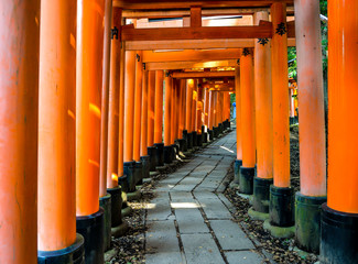 The iconic shrine in Kyoto, made famous for its thousands of orange and black torii gates which...
