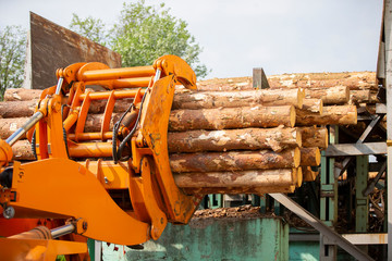 Wood processing industry. Loader with logs. Industrial wood processing
