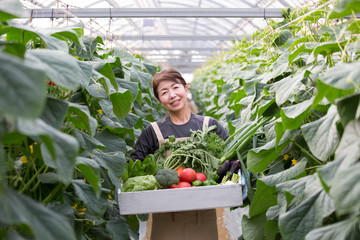 収穫のイメージ　野菜を持つ女性