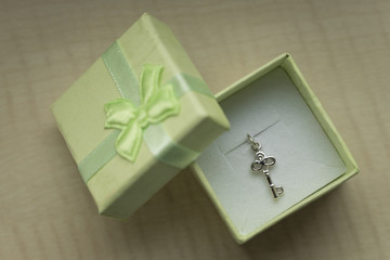 Silver pendant in a box in the shape of a key.