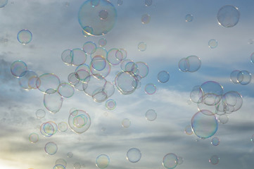 Soap bubbles on sunset sky background