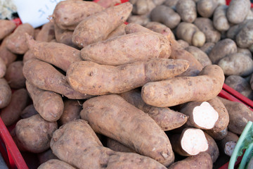 Sweet potatoes piled for market