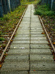 Obraz premium landscape with old railway tracks, grass on the tracks