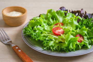 Fresh vegetable salad on plate.