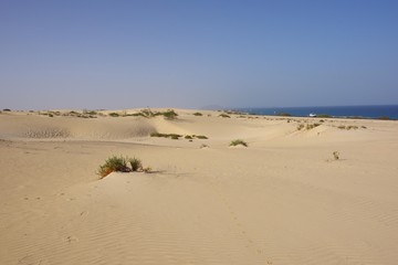 Fototapeta na wymiar Sand Dunes on the Island