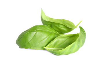 Fresh green basil leaves isolated on white