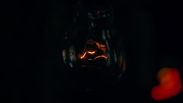 Bulb in the dark