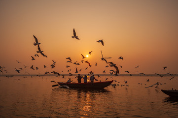 Varanasi, Banaras, Uttar Pradesh, India - January 31, 2011: Boats and Migratory Seagull birds at sunrise on the Ganga, in the holy city of Varanasi, India