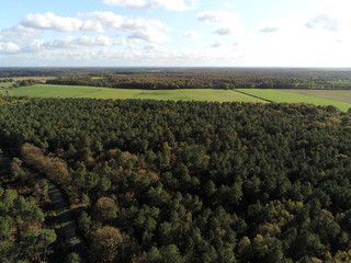 for&ecirc;t &agrave; l'automne vue du ciel