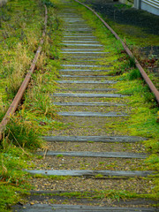landscape with old railway tracks, grass on the tracks