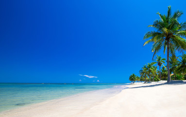 Plakat tropical beach in Sri Lanka