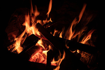 Camp Fire on black background. Flames of an open-air fire at night. 