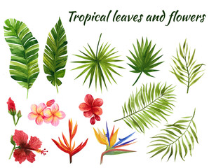Tropical leaves and flowers painted by watercolor, hand drawing, for creating cards and for design, scrapbooking and decoupage