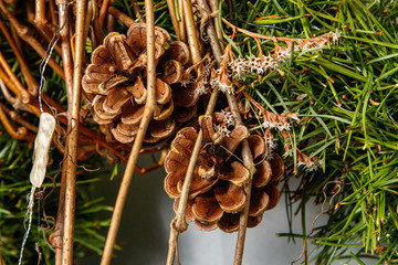 Christmas composition. Wreath of Christmas tree branches