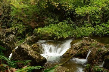 Water flow of the canyon. Forest and mountain landscapes. Crimea,Russia