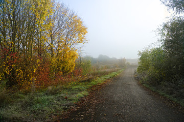 Weg im Herbst