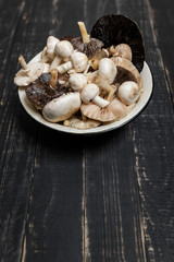 Raw mushrooms on the black wooden table or boards. Young champignons, Tricholoma. Different forest big and small mushrooms together in enameled bowl.