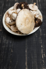 Raw mushrooms on the black wooden table or boards. Young champignons, Tricholoma. Different forest big and small mushrooms together in enameled bowl.