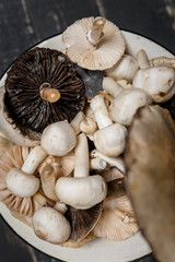 Raw mushrooms on the black wooden table or boards. Young champignons, Tricholoma. Different forest big and small mushrooms together in enameled bowl.