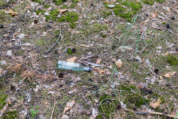 Glass bottle on the ground in a pine forest.
