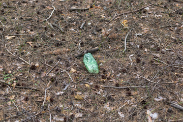 Green plastic bottle on the ground in a pine forest.