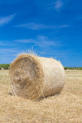 Haystack Roll Bale on the Field Landscape