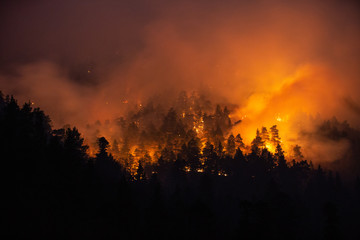 forest fire at night