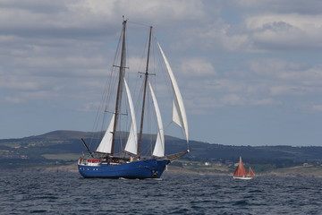 Naklejka premium Vieux gréements en baie de Douarnenez