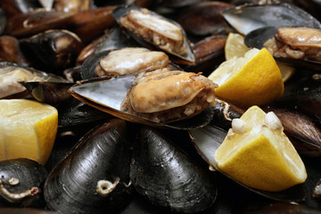 Stuffed mussels from Turkish seafood cuisine.
