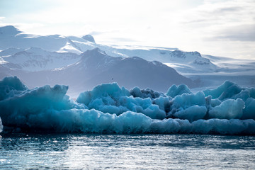 Icebergs floating in the lake at Diamond Beach in the summer in Iceland during sunset with snowcapped mountains in the background
