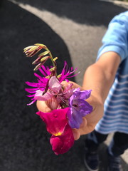 Little boy presents with love self picked wild flowers for his mother. Happy mother's day.