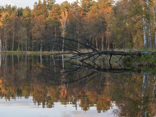 Jesień nad wodą. © boguslavus