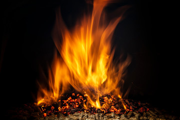 wood pellet burning with a live flame.