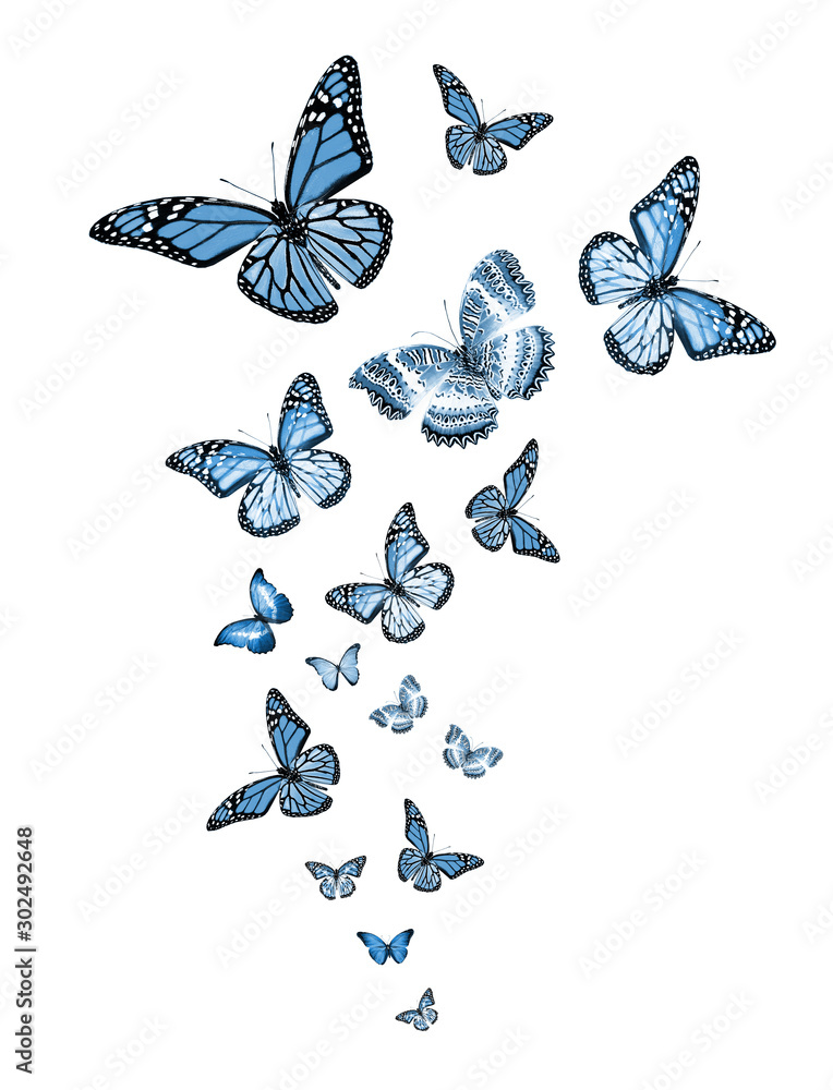 Wall mural Flock of flying butterflies isolated on white