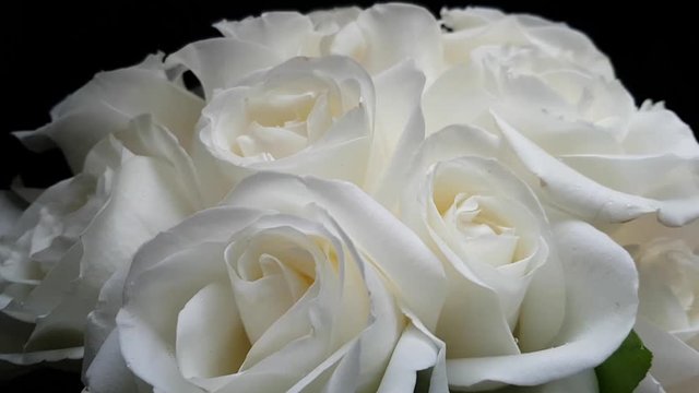 Beautiful delicate bouquet of white roses on a black background. A gift to a loved one. The bride's bouquet to the wedding