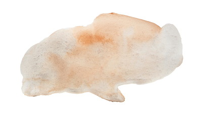 Watercolor Texture Hand Painted Blobs